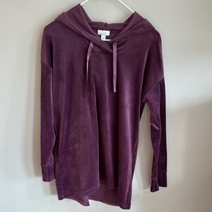 JJill Purple velvety Hoodie Top